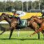 Two jockeys sprint to the finish on a grassy racecourse, leading horse with green saddlecloth and plaid jacket.