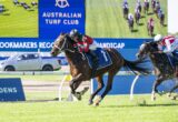Two racehorses race side by side on a sunny turf track, jockeys in colorful silks, with Australian Turf Club signage in the background.
