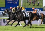 Horses and jockeys race at the Australian Turf Club, galloping on green turf with a blue sign in the background.
