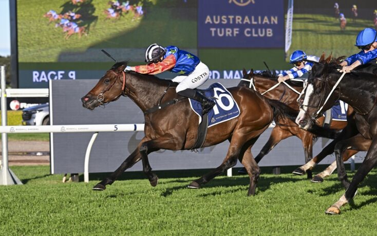 A brown racehorse leads the pack while a jockey in blue and red silks leans forward, number 6 on the saddle cloth, on a green turf track at a racecourse.