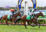 Two jockeys race side by side on galloping horses on a green turf track, with a large blue-and-yellow arch and advertising boards in the background.