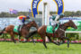 Two jockeys race side by side on galloping horses on a green turf track, with a large blue-and-yellow arch and advertising boards in the background.