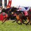 Horses and jockeys sprinting side by side in a crowded horse race on a green track with red fences and banners in the background