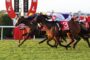 Horses and jockeys sprinting side by side in a crowded horse race on a green track with red fences and banners in the background