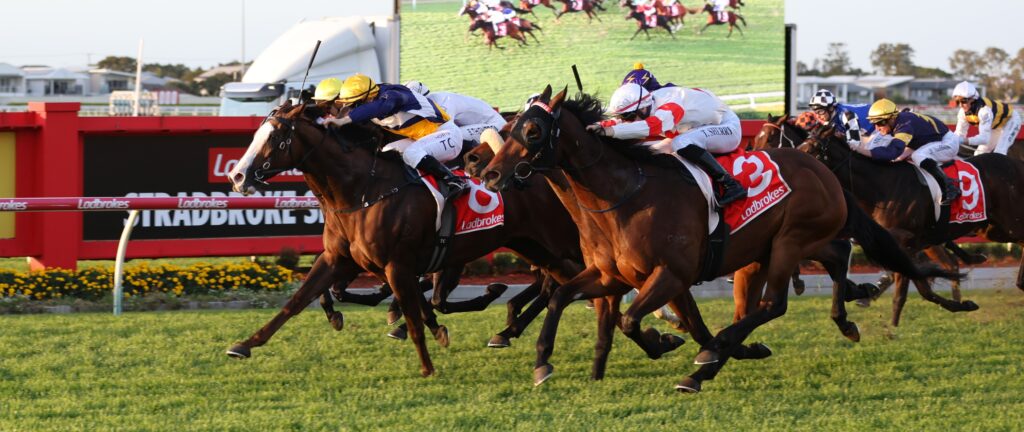 Abounding 2 | Just Horse Racing Group of thoroughbreds race side by side toward the finish, jockeys leaning forward in colorful silks on a sunny track.