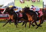 Group of thoroughbreds race side by side toward the finish, jockeys leaning forward in colorful silks on a sunny track.