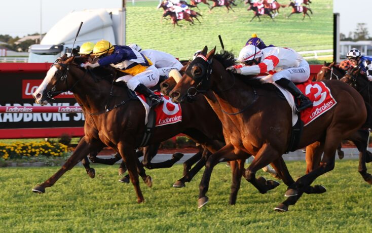 Group of thoroughbreds race side by side toward the finish, jockeys leaning forward in colorful silks on a sunny track.