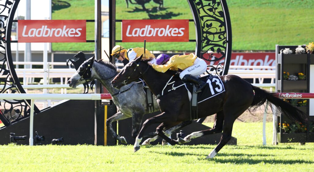 Two jockeys in yellow and purple silks riding horses over a white fence at a Ladbrokes-sponsored horse jumping event on a sunny day.