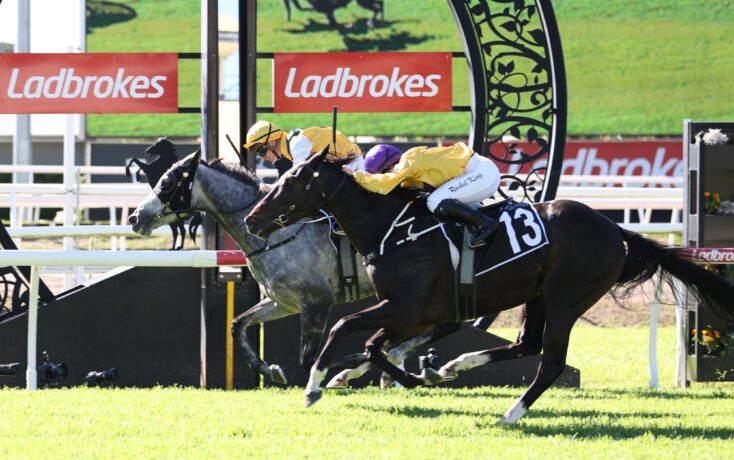 Two jockeys in yellow and purple silks riding horses over a white fence at a Ladbrokes-sponsored horse jumping event on a sunny day.
