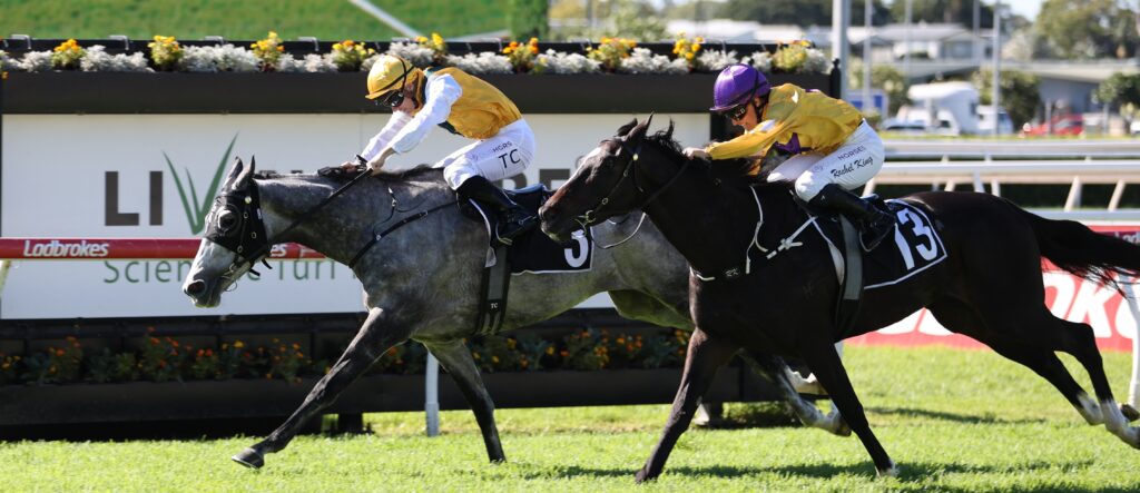 Two jockeys in yellow and purple silks race side by side on sprinting horses along a sunny turf course, number 5 on the gray horse and number 13 on the dark horse.