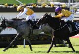 Two jockeys in yellow and purple silks race side by side on sprinting horses along a sunny turf course, number 5 on the gray horse and number 13 on the dark horse.