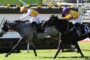 Two jockeys in yellow and purple silks race side by side on sprinting horses along a sunny turf course, number 5 on the gray horse and number 13 on the dark horse.