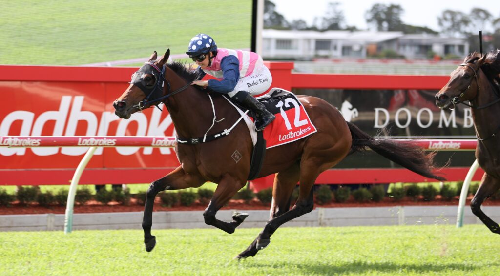 Jockey in pink-and-white and blue silks rides a brown horse at full speed in a horse race, red rail in background.