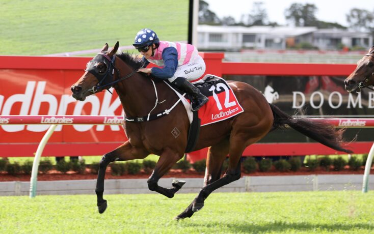 Jockey in pink-and-white and blue silks rides a brown horse at full speed in a horse race, red rail in background.