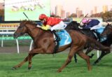 Jockeys and horses sprinting on a turf track with a city skyline in the background, lead horse wearing blue saddlecloth #2.