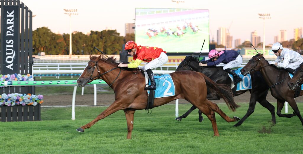 Beadman 4 | Just Horse Racing Leading brown horse with blue saddle cloth number 2; jockey in red outfit steering at full speed on green turf during a horse race.