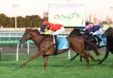 Leading brown horse with blue saddle cloth number 2; jockey in red outfit steering at full speed on green turf during a horse race.
