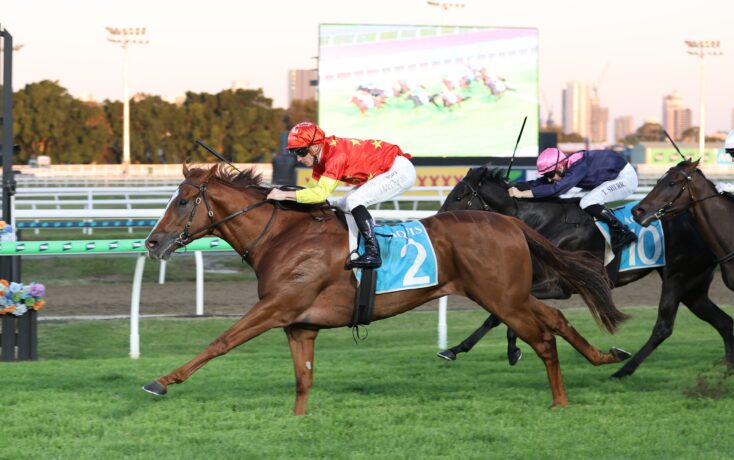 Leading brown horse with blue saddle cloth number 2; jockey in red outfit steering at full speed on green turf during a horse race.