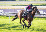 Jockey in pink and blue silks riding a brown horse during a race on a sunny turf track.