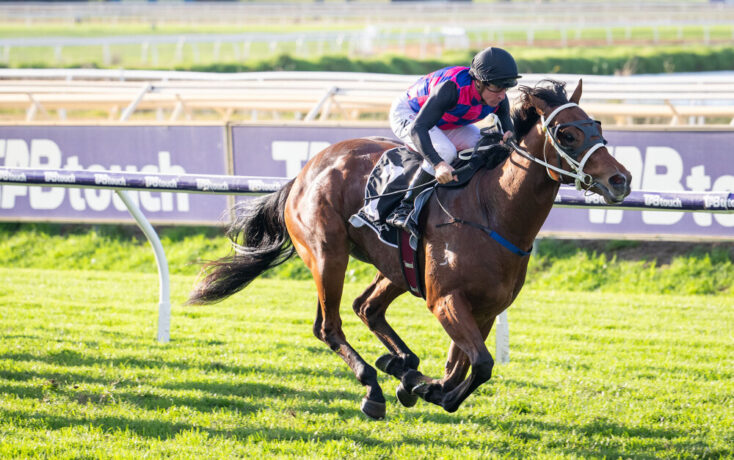 Jockey in pink and blue silks riding a brown horse during a race on a sunny turf track.