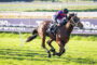 Jockey in pink and blue silks riding a brown horse during a race on a sunny turf track.