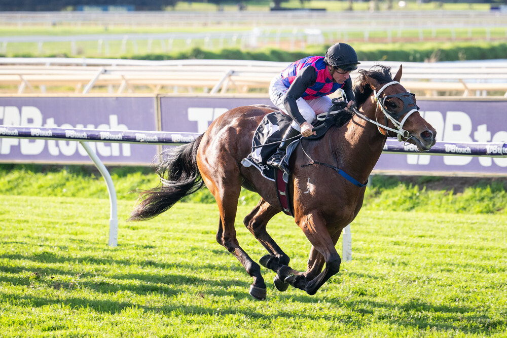 Jockey in pink and blue silks riding a brown horse during a race on a sunny turf track.