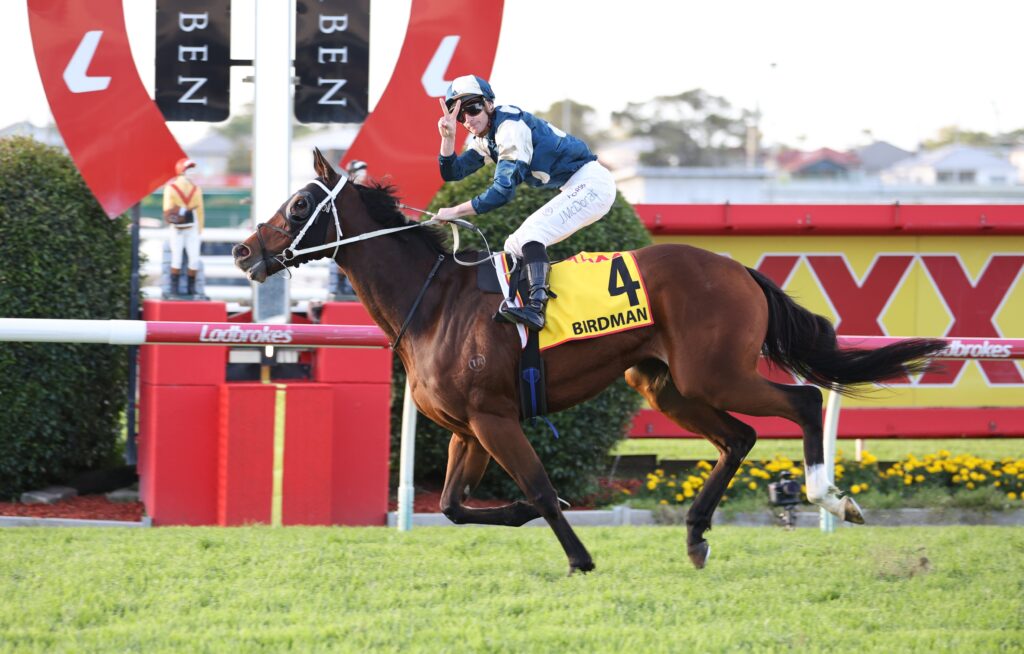 Jockey in blue and white silks on a brown horse jumping a red hurdle during a race. (Bib 4, Birdman)