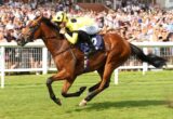 Bay racehorse and jockey in bright yellow silks race along a track as a packed grandstand cheers in the background, saddlecloth number 2 visible on the horse.