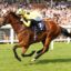 Bay racehorse and jockey in bright yellow silks race along a track as a packed grandstand cheers in the background, saddlecloth number 2 visible on the horse.