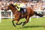 Bay racehorse and jockey in bright yellow silks race along a track as a packed grandstand cheers in the background, saddlecloth number 2 visible on the horse.