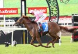 Jockey in pink and white silks riding a bay horse over a jump at a racecourse with Ladbrokes banners behind them