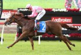 Jockey in pink and white silks on a brown horse racing along a track with Ladbrokes banners in the background.