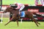 Jockey in pink and white silks on a brown horse racing along a track with Ladbrokes banners in the background.