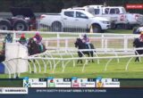 Horse race in progress on a grassy track; jockeys in colorful silks ride toward a gate with a white railing, several trucks in the background.