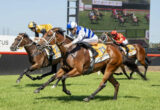 Three racehorses with jockeys in colorful silks sprinting on a sunlit turf track; a large race screen is visible in the background.