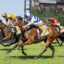 Three racehorses with jockeys in colorful silks sprinting on a sunlit turf track; a large race screen is visible in the background.