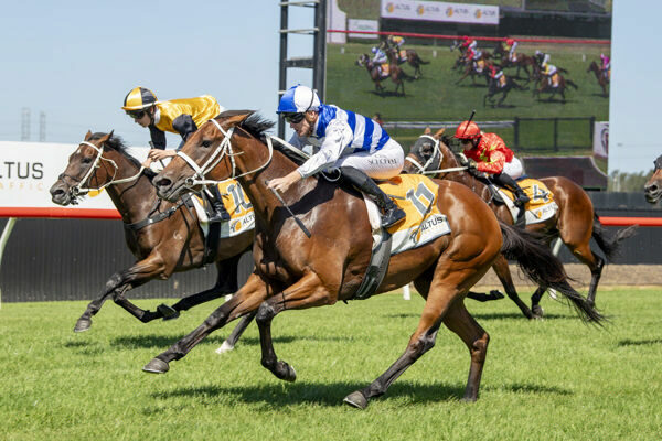 Three racehorses with jockeys in colorful silks sprinting on a sunlit turf track; a large race screen is visible in the background.