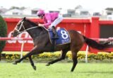 Jockey in pink silks rides a dark horse at full gallop on a racecourse, number 8 saddle cloth with Magic Millions logo visible on the horse's flank side railings in red fences behind.