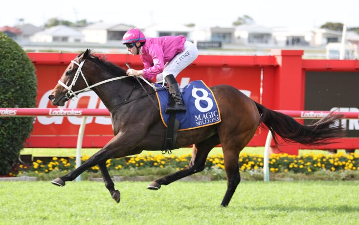 Jockey in pink silks rides a dark horse at full gallop on a racecourse, number 8 saddle cloth with Magic Millions logo visible on the horse's flank side railings in red fences behind.