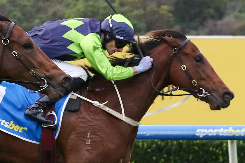 DIVINE DOTV9ADIVINE DOT279 | Just Horse Racing Jockey in neon green and navy diamond-pattern silks rides a brown horse over a blue hurdle rail in mid-jump, during a race on a sunny day.