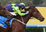 Jockey in neon green and navy diamond-pattern silks rides a brown horse over a blue hurdle rail in mid-jump, during a race on a sunny day.