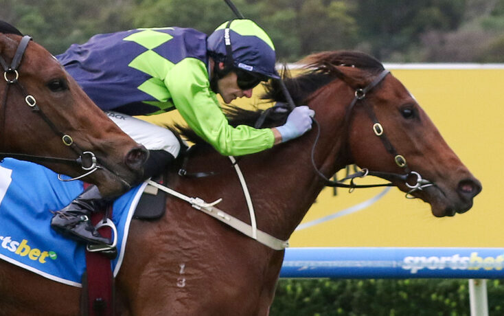Jockey in neon green and navy diamond-pattern silks rides a brown horse over a blue hurdle rail in mid-jump, during a race on a sunny day.