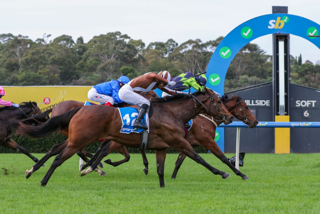 Horse race underway on a grassy track, jockeys in colorful silks leaning forward on sprinting steeds, finish-line arch in background