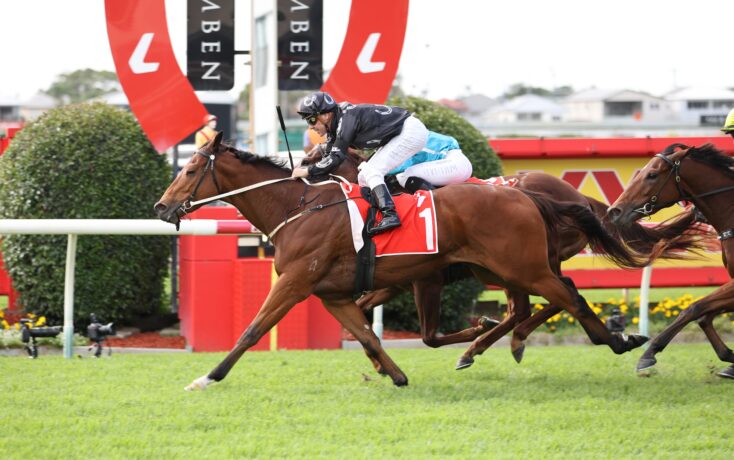 Jockey in black and white silks on a brown horse with a red number-1 saddle cloth leading a horse race on a grassy track.
