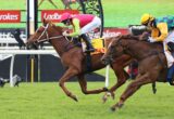 Three jockeys in bright silks race a brown horse on a grassy track, Ladbrokes banners visible in the background.