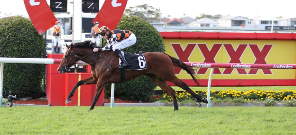 A jockey in orange and black checkered silks rides a brown racehorse as it leaps over a red-and-white hurdle in a coastal racecourse setting, number 6 saddlecloth visible.