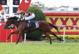 A jockey in orange and black checkered silks rides a brown racehorse as it leaps over a red-and-white hurdle in a coastal racecourse setting, number 6 saddlecloth visible.