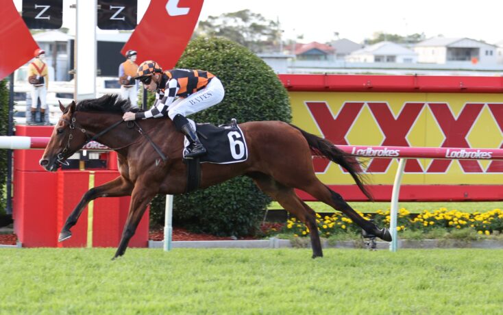 A jockey in orange and black checkered silks rides a brown racehorse as it leaps over a red-and-white hurdle in a coastal racecourse setting, number 6 saddlecloth visible.
