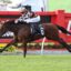 Jockey in orange-and-black checkered silks on a brown horse, mid-gallop over a track with red barriers and Ladbrokes signage in the background.