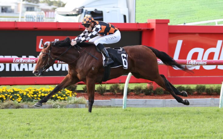 Jockey in orange-and-black checkered silks on a brown horse, mid-gallop over a track with red barriers and Ladbrokes signage in the background.